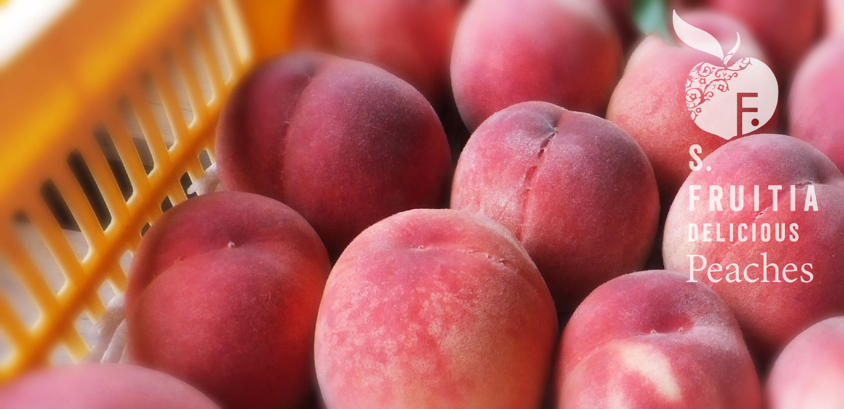 採れたての甘い桃