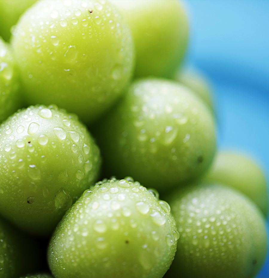 新鮮ぶどうの通販