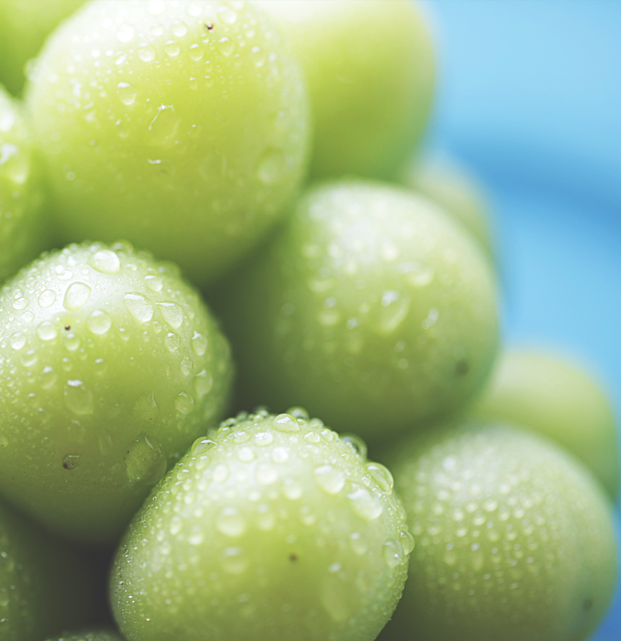 新鮮ぶどうの通販